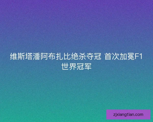 维斯塔潘阿布扎比绝杀夺冠 首次加冕F1世界冠军