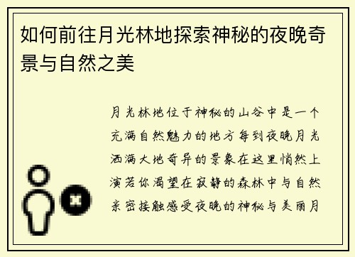 如何前往月光林地探索神秘的夜晚奇景与自然之美