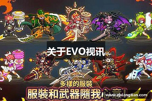 关于EVO视讯